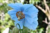 bild 20 - (c) c duecker.jpg